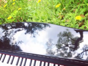 草の上のピアノ
