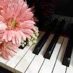 ピアノの鍵盤とガーベラ
